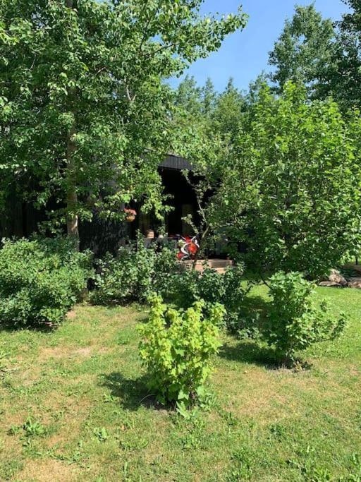 Small Cozy 3-Room House With Terrace & Large Garden Ilmandu 外观 照片